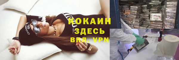трава Бородино
