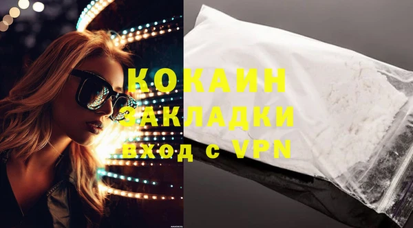 дживик Бронницы